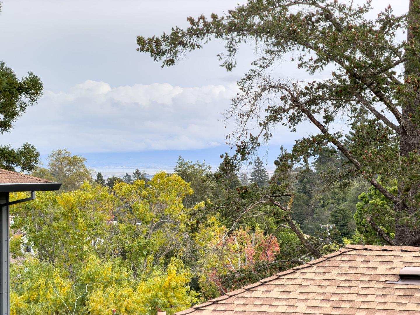 Detail Gallery Image 70 of 80 For 108 Beverly Dr, San Carlos,  CA 94070 - 3 Beds | 2 Baths