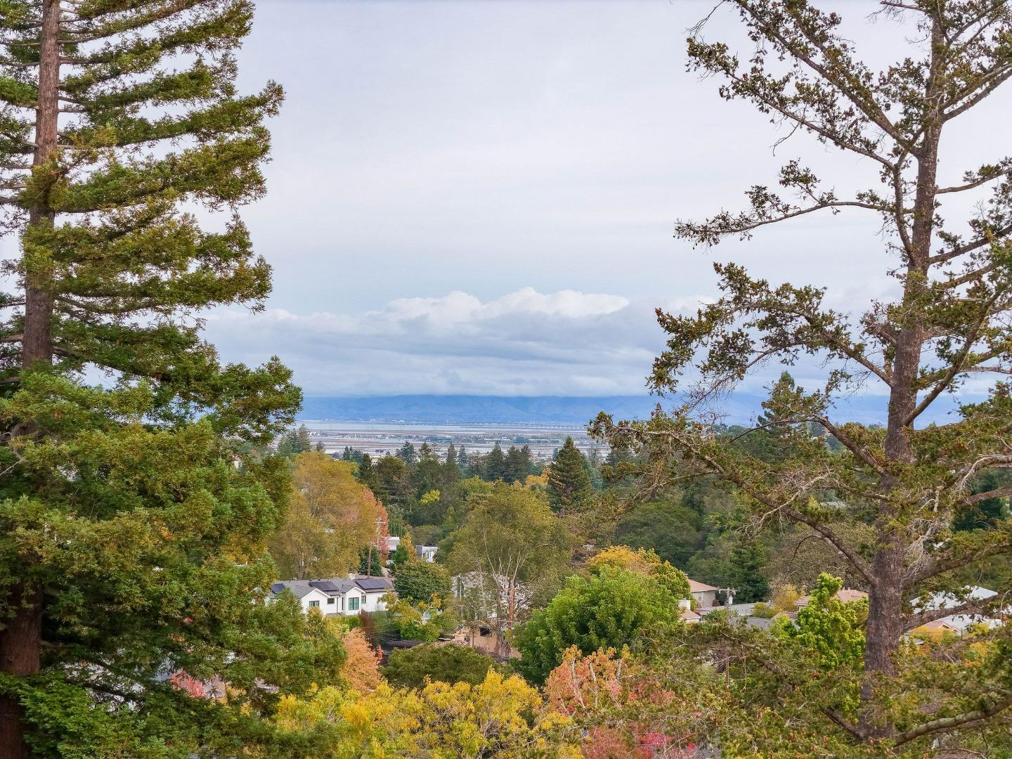 Detail Gallery Image 71 of 80 For 108 Beverly Dr, San Carlos,  CA 94070 - 3 Beds | 2 Baths