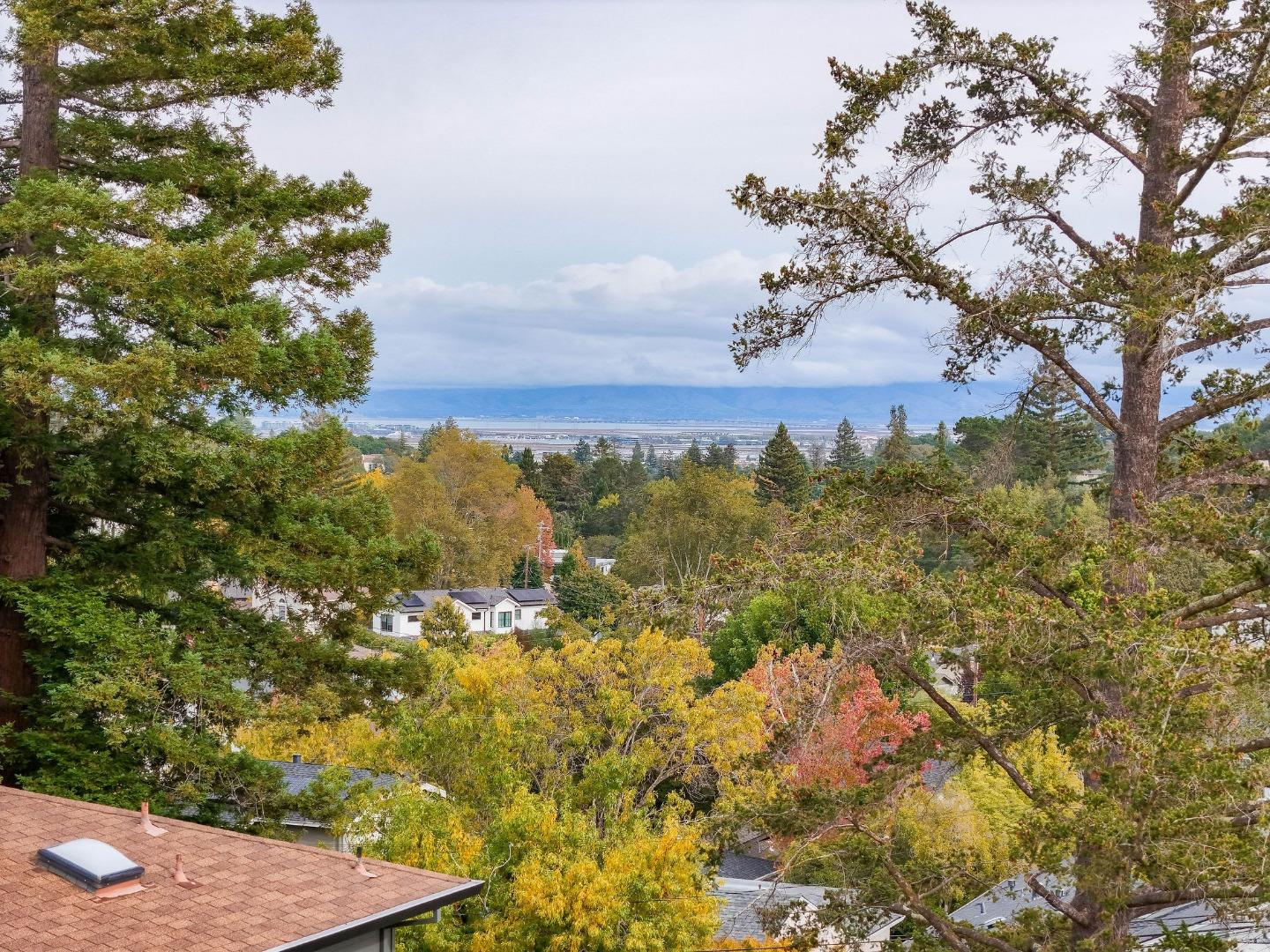 Detail Gallery Image 72 of 80 For 108 Beverly Dr, San Carlos,  CA 94070 - 3 Beds | 2 Baths