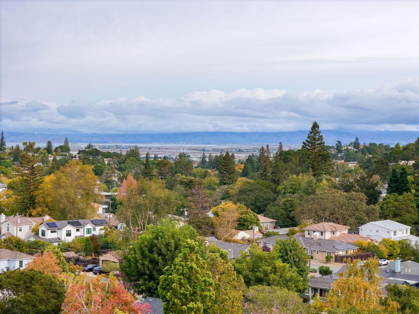 Detail Gallery Image 73 of 80 For 108 Beverly Dr, San Carlos,  CA 94070 - 3 Beds | 2 Baths