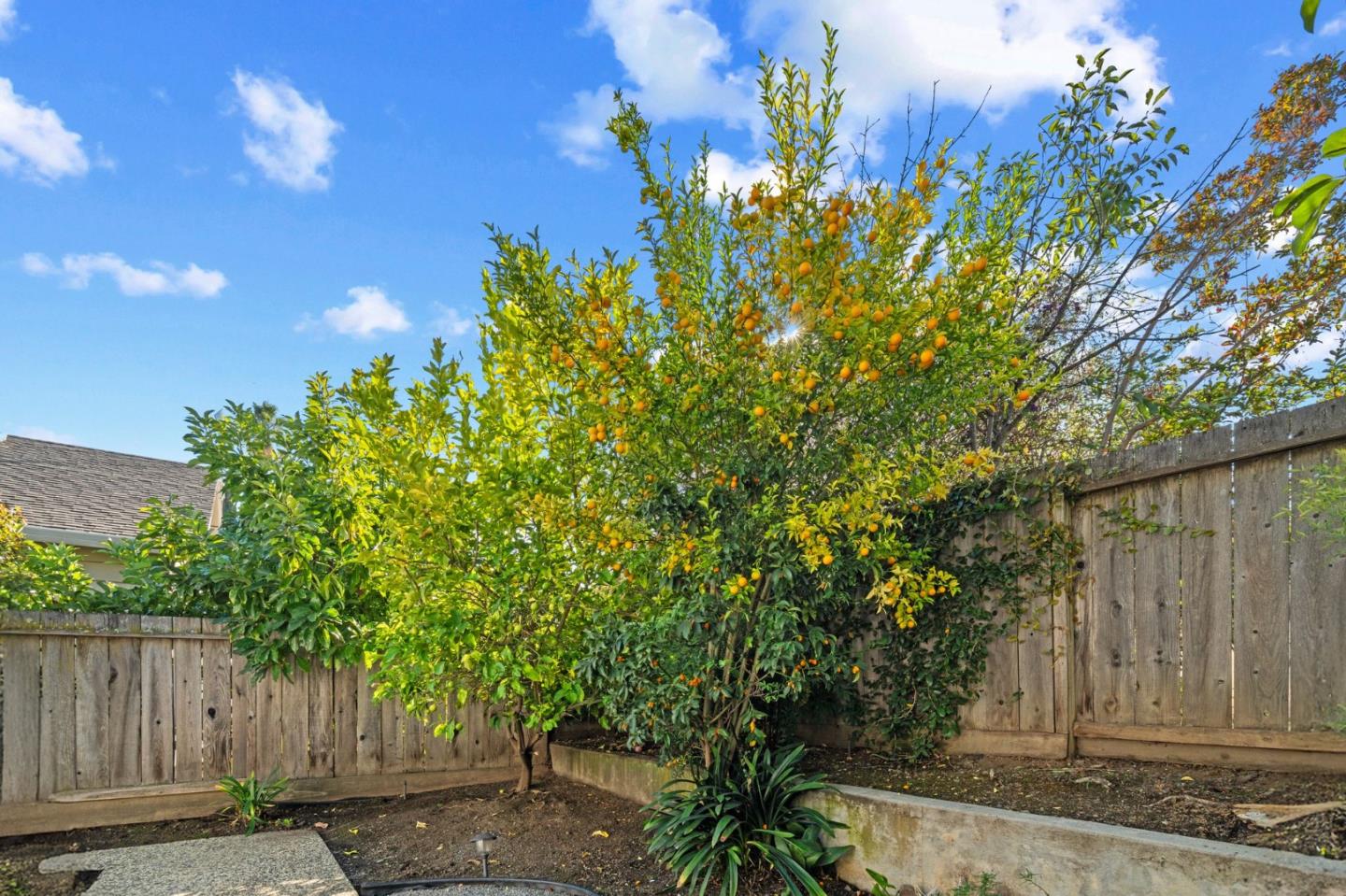 Detail Gallery Image 37 of 42 For 2267 Fenian Dr, Campbell,  CA 95008 - 3 Beds | 2 Baths