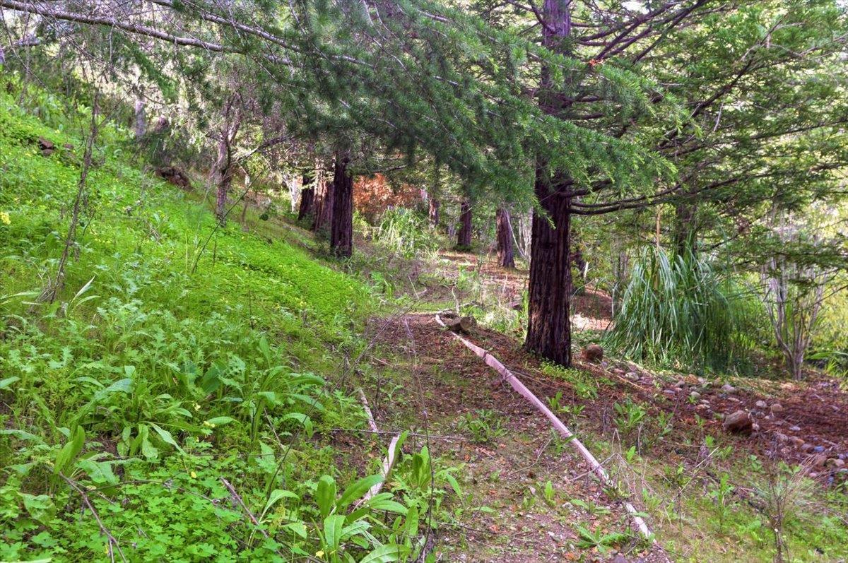 Detail Gallery Image 180 of 199 For 1215 Tournament Dr, Hillsborough,  CA 94010 - 7 Beds | 7/2 Baths