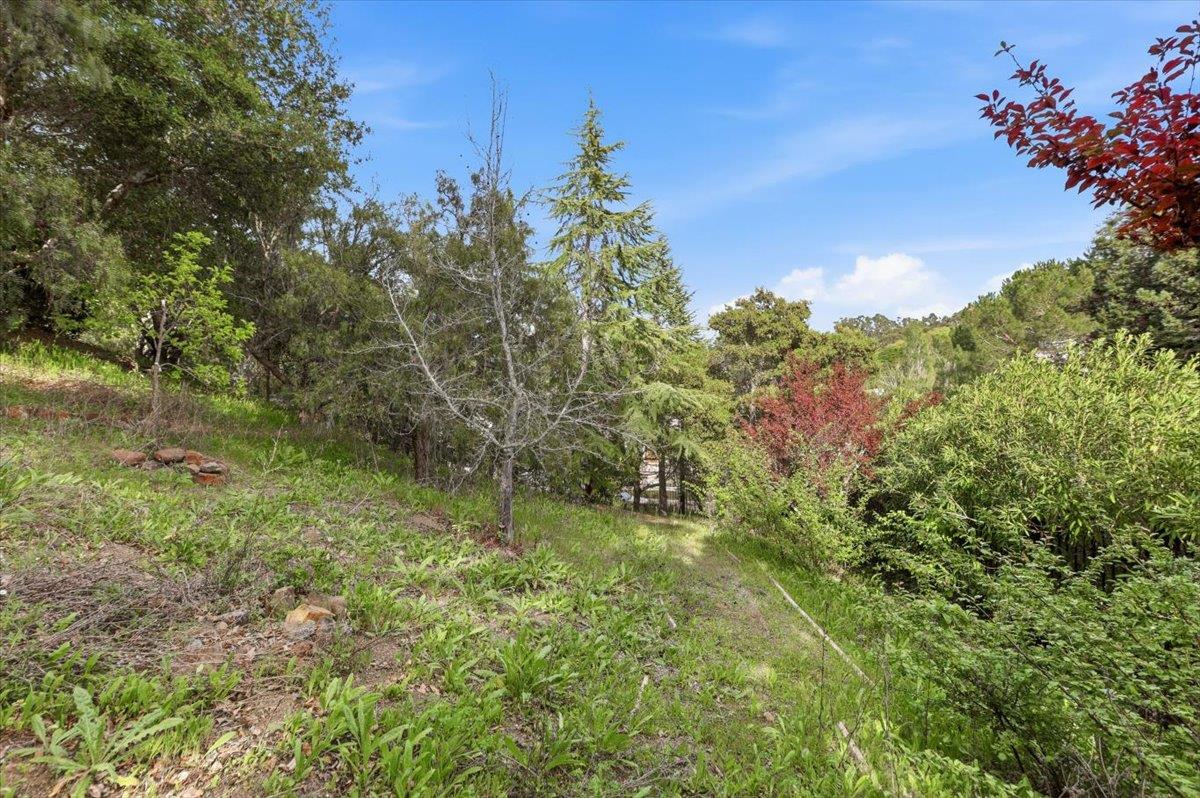 Detail Gallery Image 181 of 199 For 1215 Tournament Dr, Hillsborough,  CA 94010 - 7 Beds | 7/2 Baths