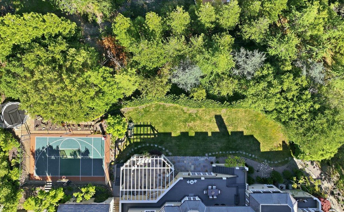 Detail Gallery Image 196 of 199 For 1215 Tournament Dr, Hillsborough,  CA 94010 - 7 Beds | 7/2 Baths