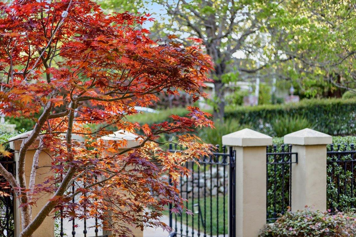 Detail Gallery Image 9 of 199 For 1215 Tournament Dr, Hillsborough,  CA 94010 - 7 Beds | 7/2 Baths