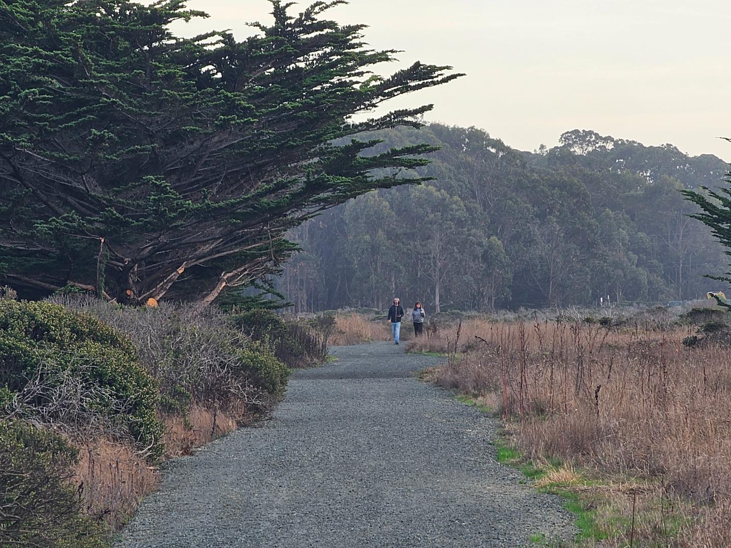 Detail Gallery Image 5 of 7 For 00 Park Ave, Half Moon Bay,  CA 94019 - – Beds | – Baths