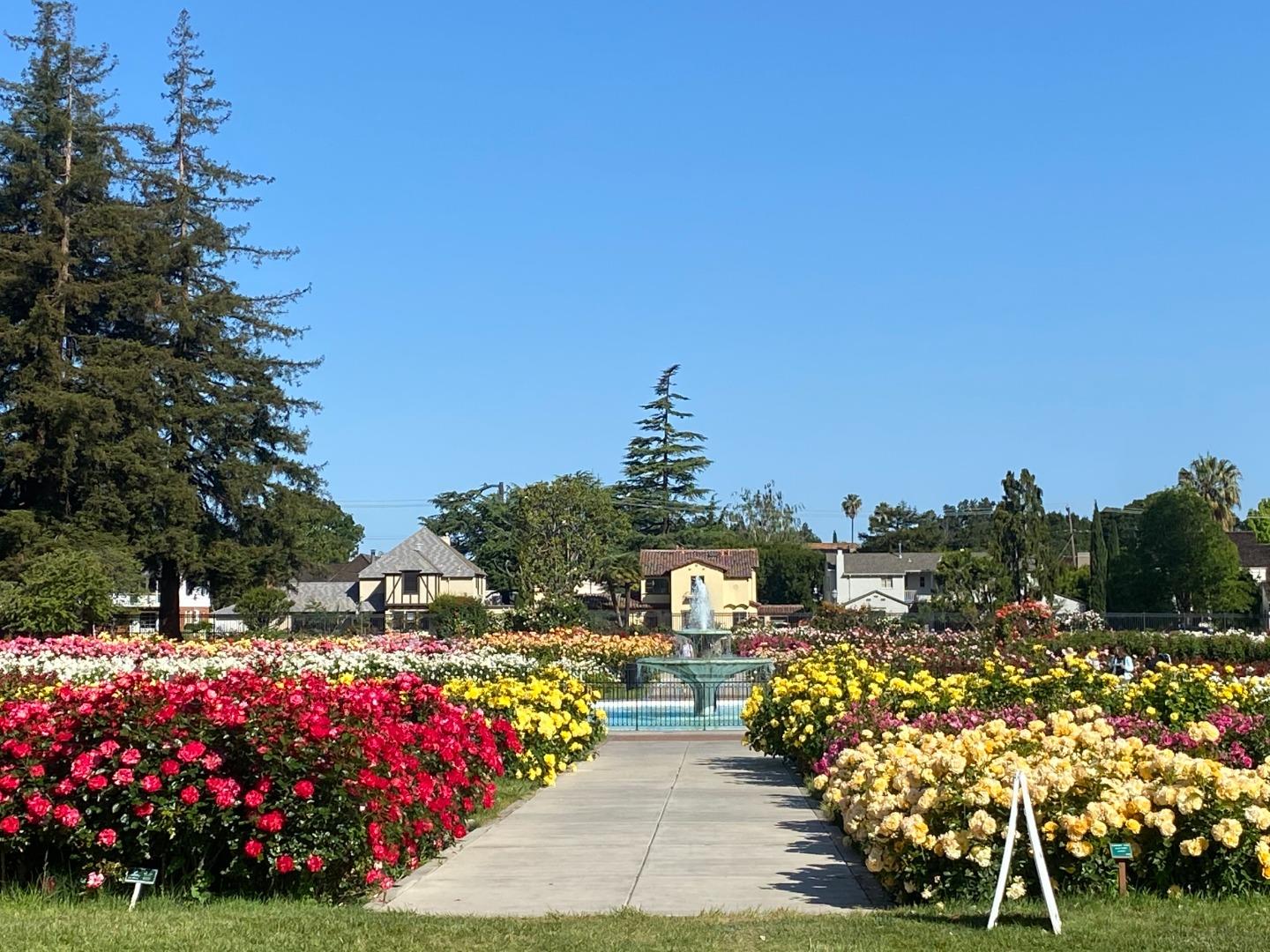 Detail Gallery Image 41 of 42 For 88 Bush St #3152,  San Jose,  CA 95126 - 1 Beds | 1 Baths