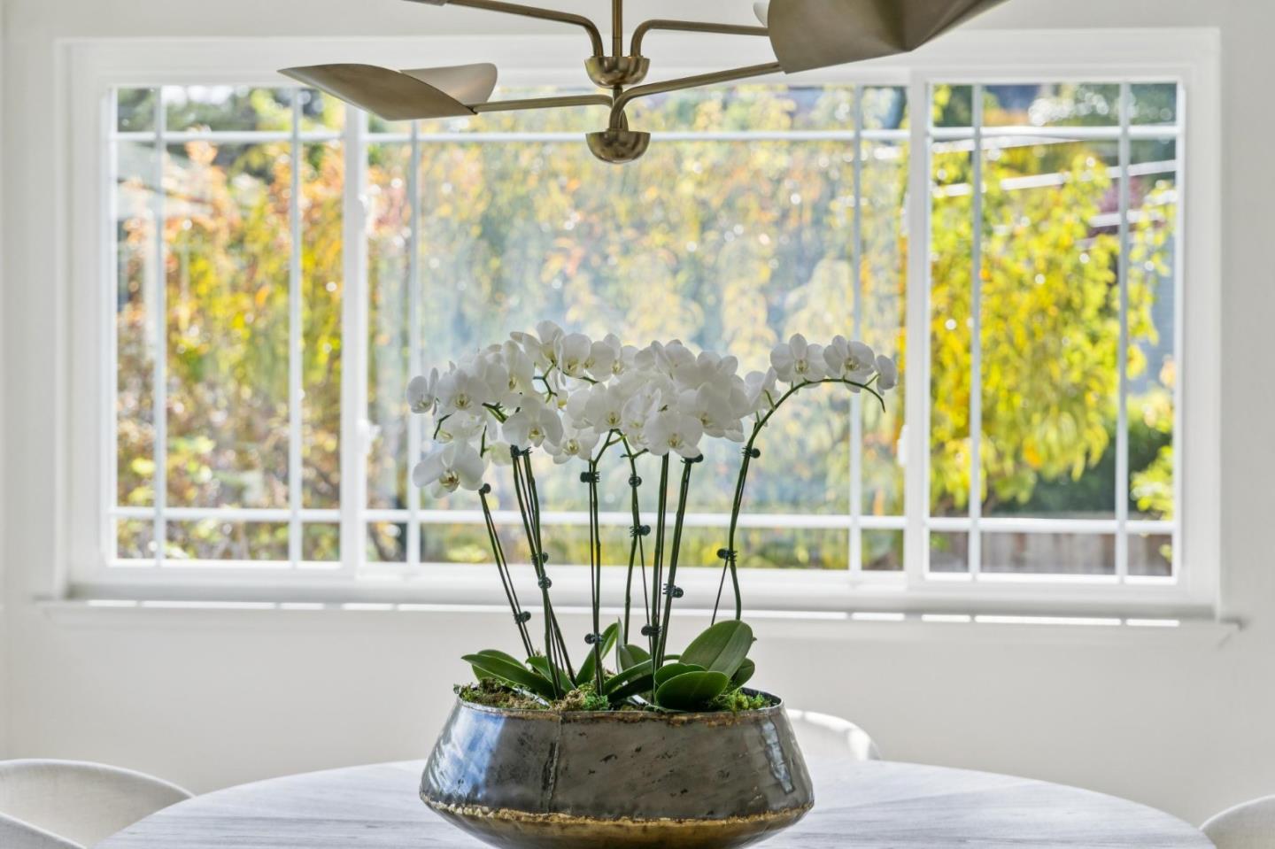 Detail Gallery Image 15 of 59 For 705 Melissa Ct, San Mateo,  CA 94402 - 4 Beds | 2/1 Baths