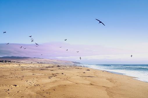 Detail Gallery Image 12 of 53 For 3 Pelican Pt, Watsonville,  CA 95076 - 3 Beds | 2 Baths