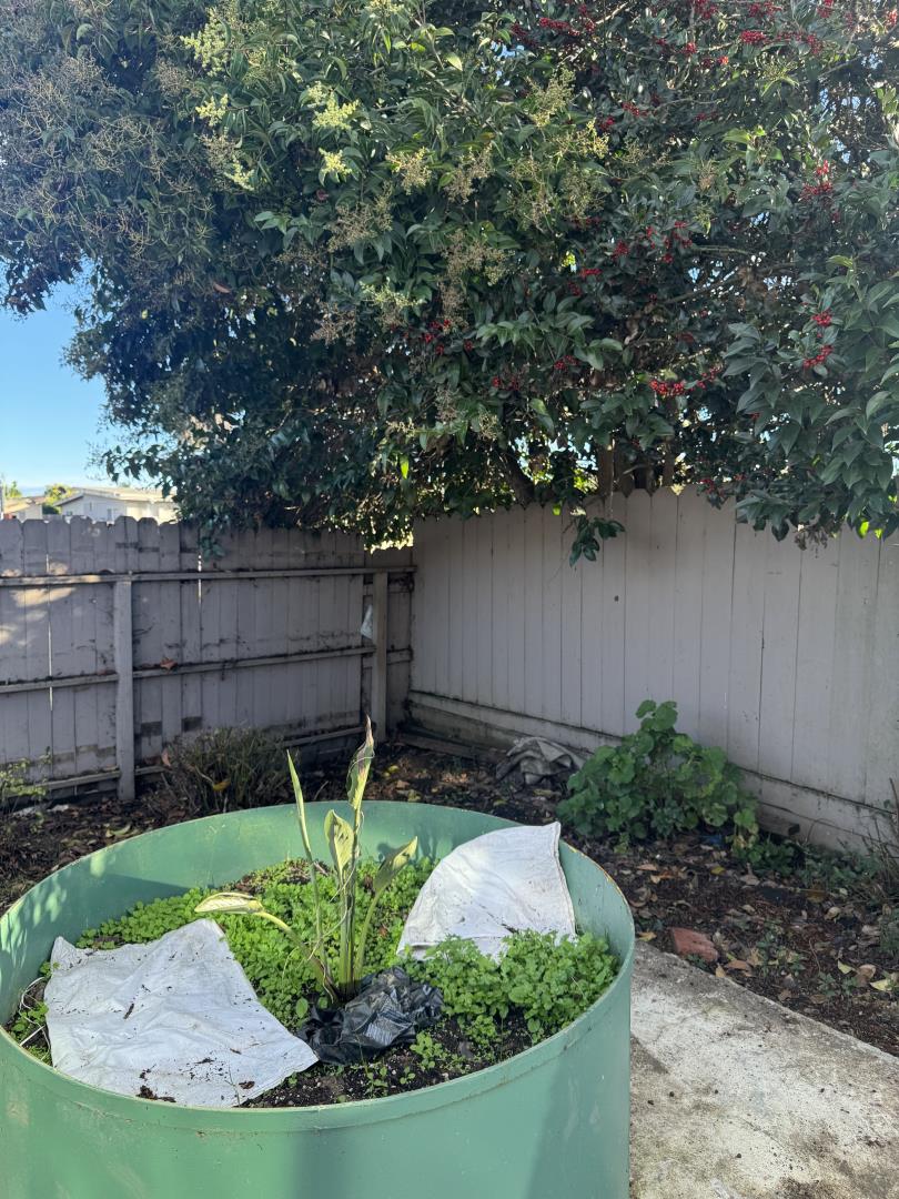 Detail Gallery Image 24 of 24 For 501 Cedar Dr, Watsonville,  CA 95076 - 2 Beds | 1/1 Baths