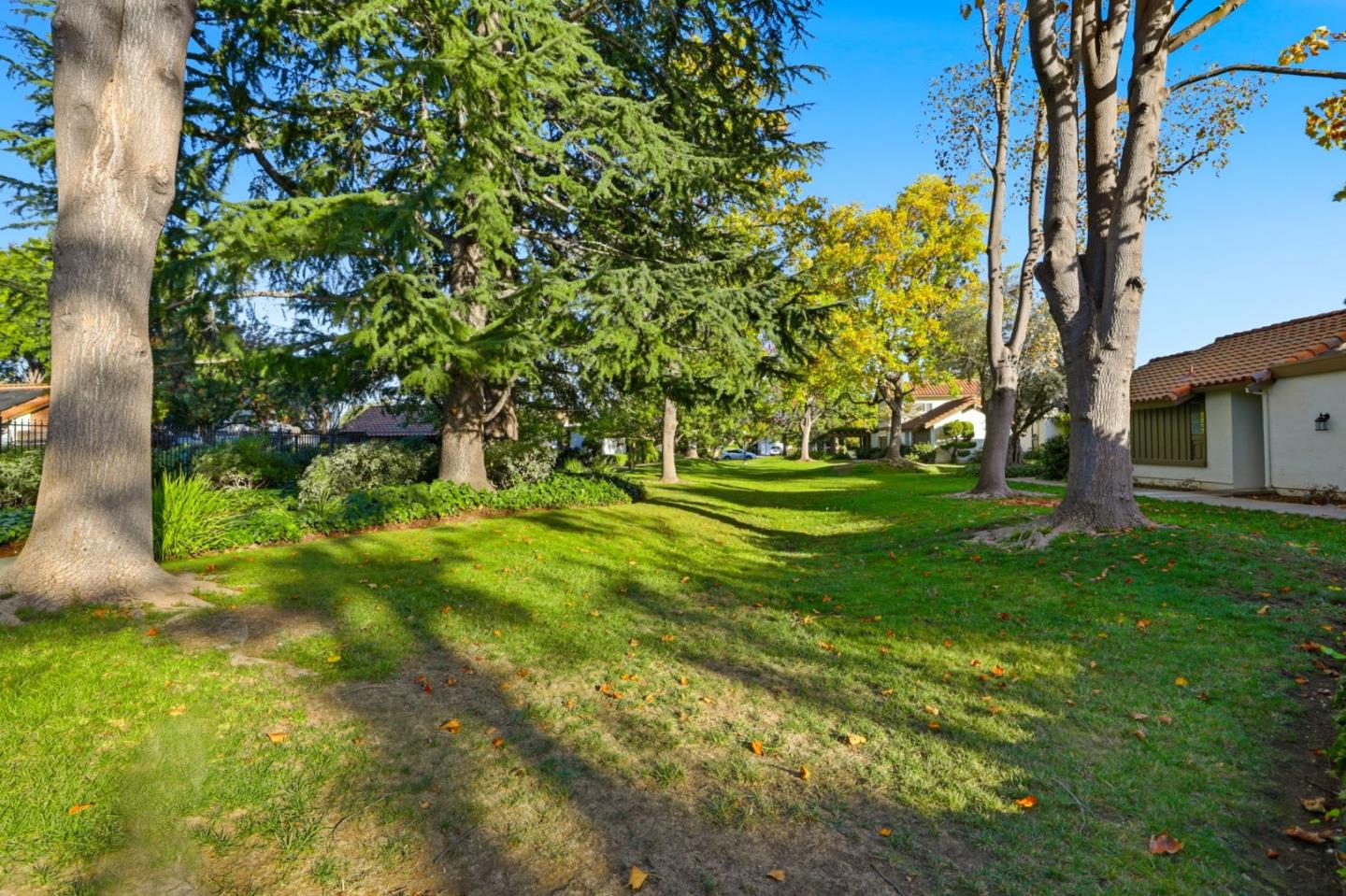 Photo #31: ML82026004 Listing: Photo #31