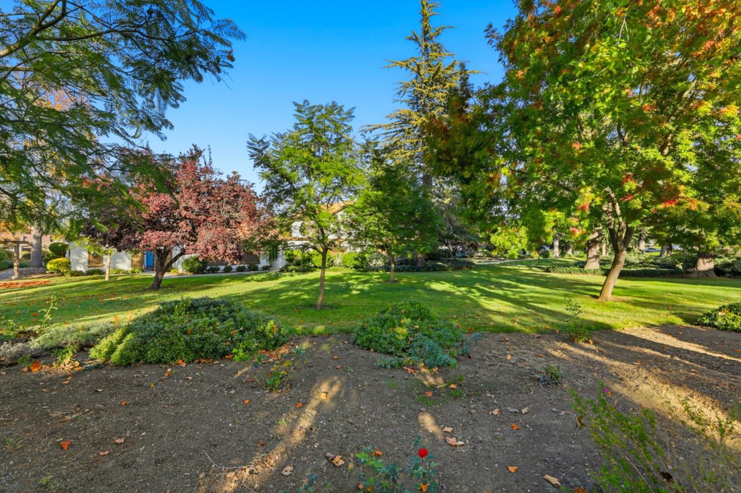 Photo #32: ML82026004 Listing: Photo #32