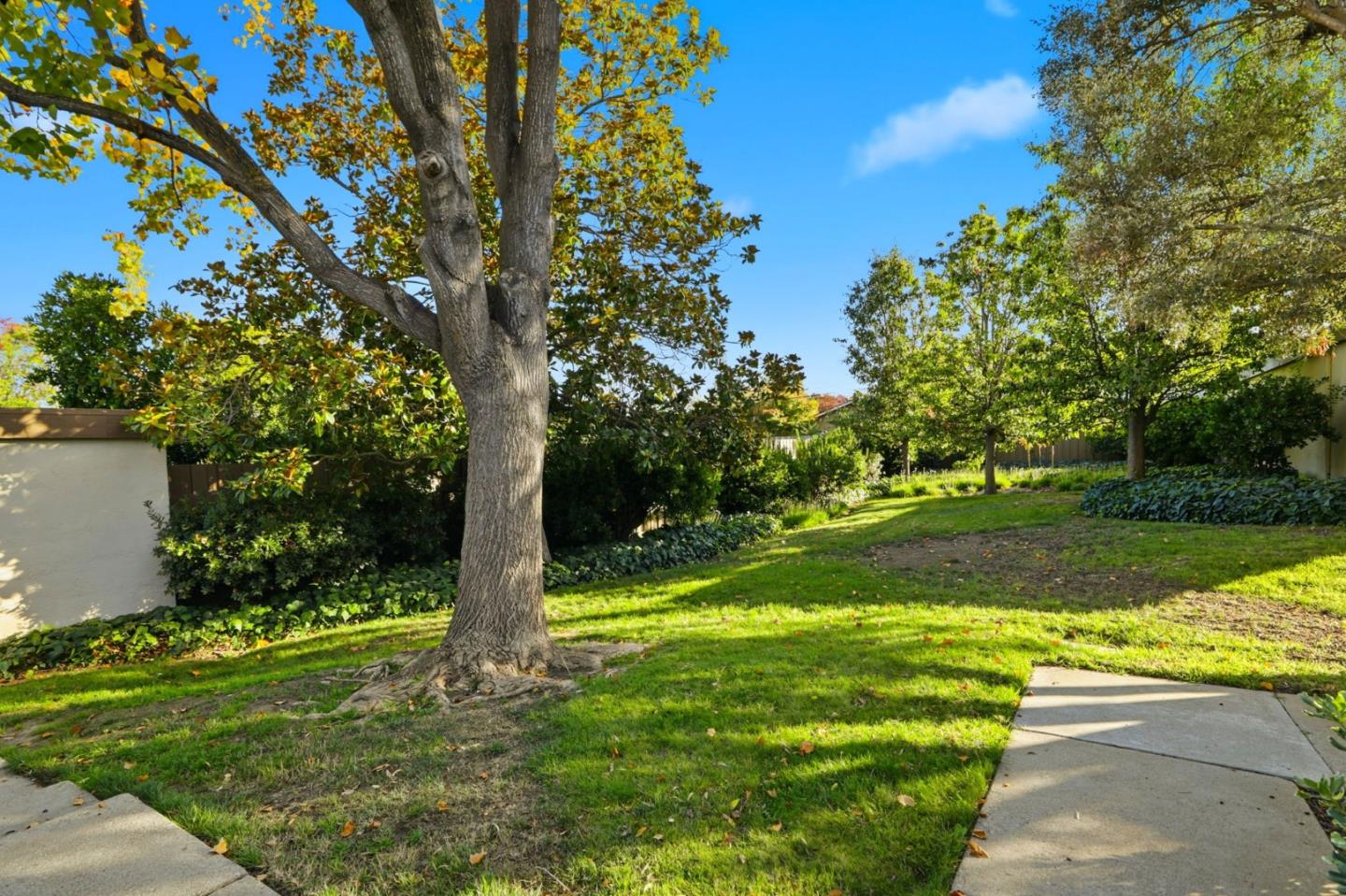 Photo #33: ML82026004 Listing: Photo #33