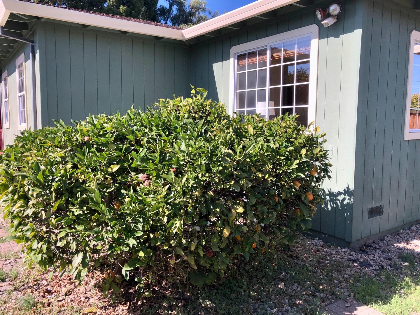 Detail Gallery Image 41 of 46 For 1220 Webster St, Santa Cruz,  CA 95062 - 3 Beds | 2 Baths