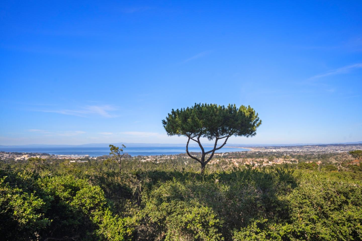 Detail Gallery Image 40 of 43 For 23800 Fairfield Pl, Carmel,  CA 93923 - 4 Beds | 2/1 Baths