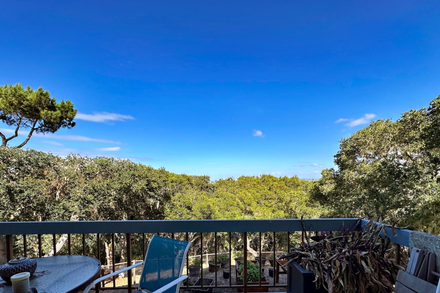 Detail Gallery Image 41 of 43 For 23800 Fairfield Pl, Carmel,  CA 93923 - 4 Beds | 2/1 Baths