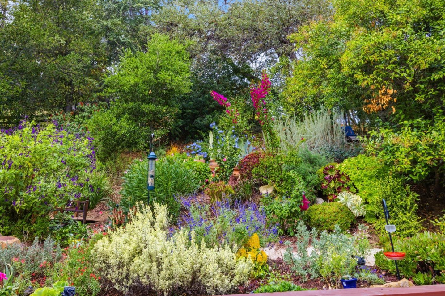 Detail Gallery Image 50 of 85 For 15098 Elm Park Park, Monte Sereno,  CA 95030 - 4 Beds | 2/1 Baths