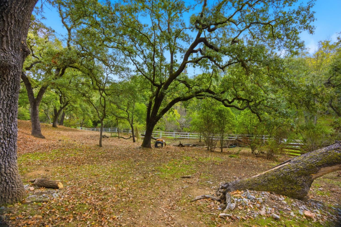 Detail Gallery Image 68 of 85 For 15098 Elm Park Park, Monte Sereno,  CA 95030 - 4 Beds | 2/1 Baths