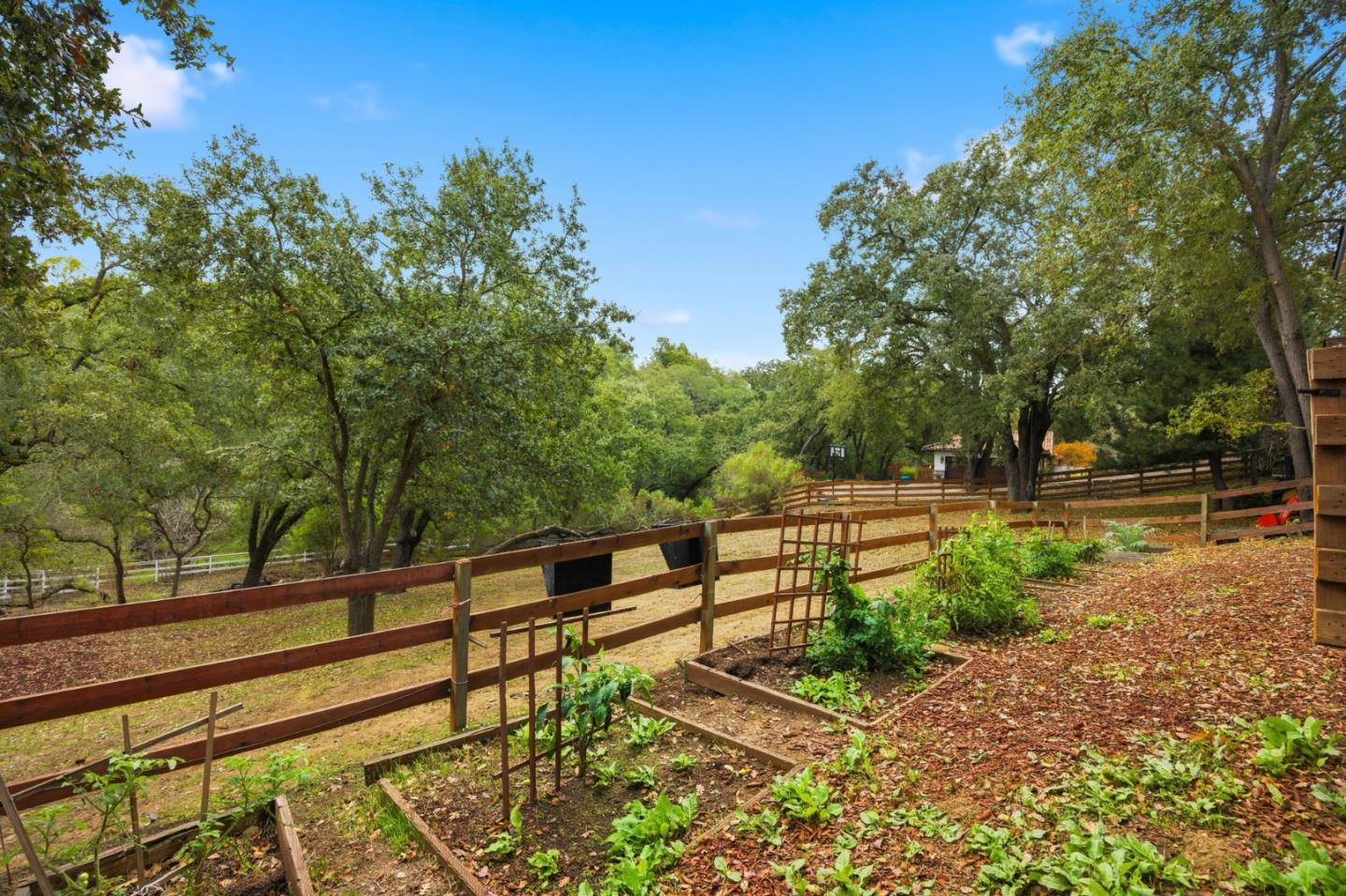 Detail Gallery Image 75 of 85 For 15098 Elm Park Park, Monte Sereno,  CA 95030 - 4 Beds | 2/1 Baths