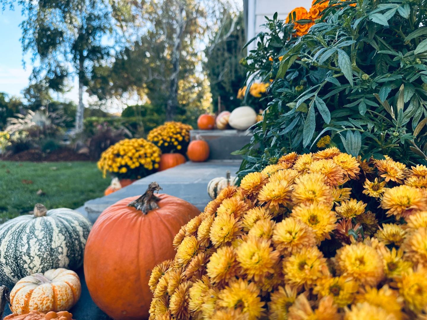 Detail Gallery Image 26 of 81 For 1183 Yosemite Ave, San Jose,  CA 95126 - 4 Beds | 3 Baths