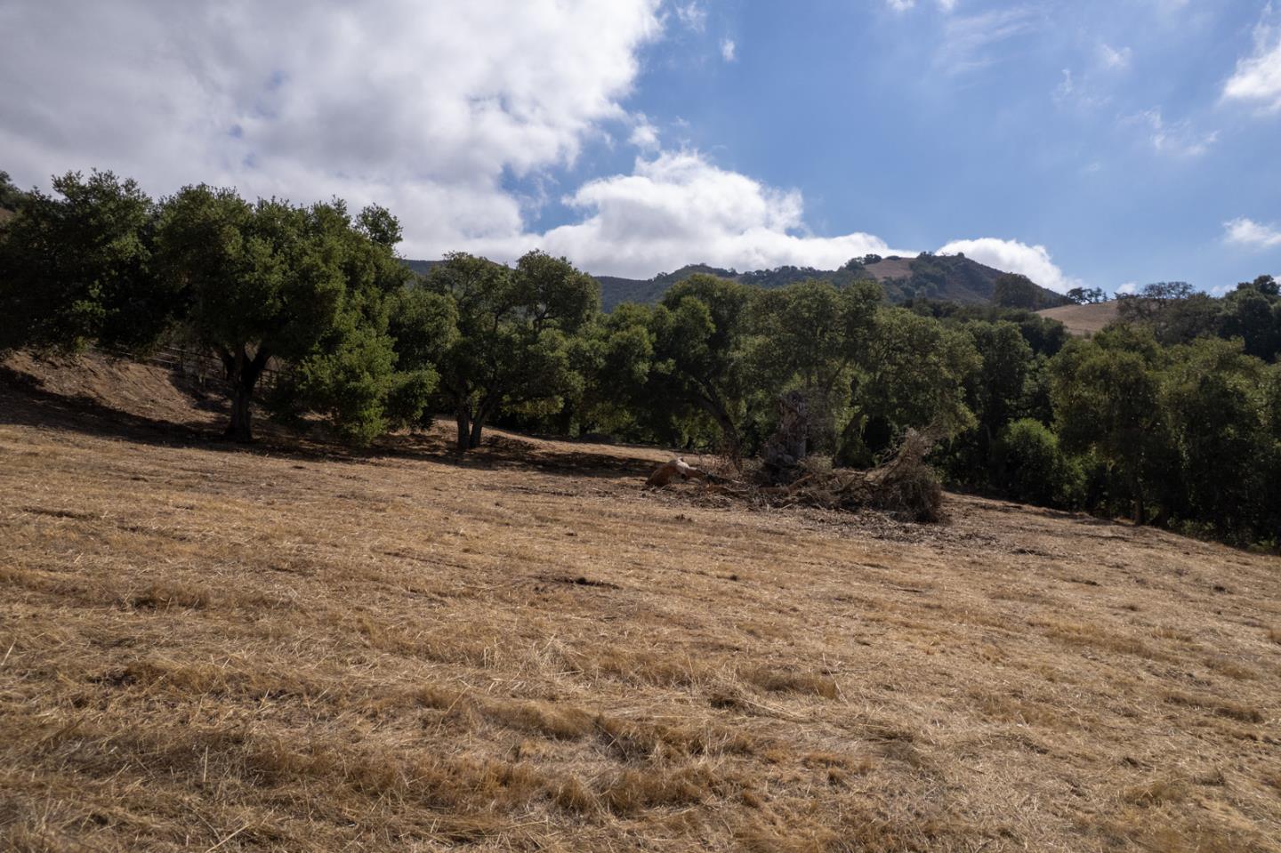 Detail Gallery Image 27 of 29 For 367 San Benancio, Salinas,  CA 93908 - – Beds | – Baths