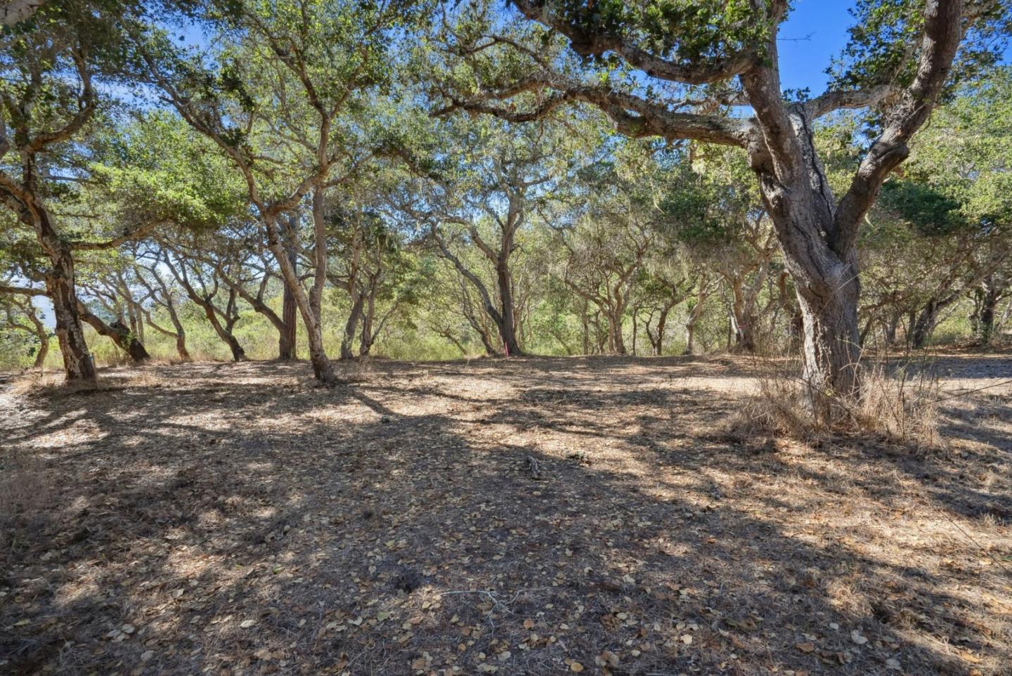 Detail Gallery Image 10 of 14 For 56 Marguerite (Lot 44), Carmel,  CA 93923 - – Beds | – Baths