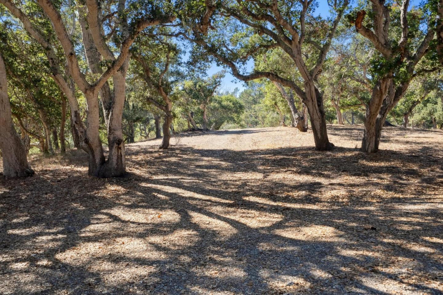 Detail Gallery Image 11 of 14 For 56 Marguerite (Lot 44), Carmel,  CA 93923 - – Beds | – Baths