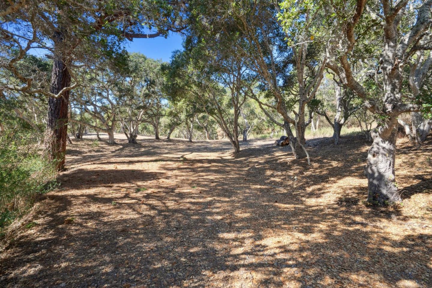 Detail Gallery Image 12 of 14 For 56 Marguerite (Lot 44), Carmel,  CA 93923 - – Beds | – Baths