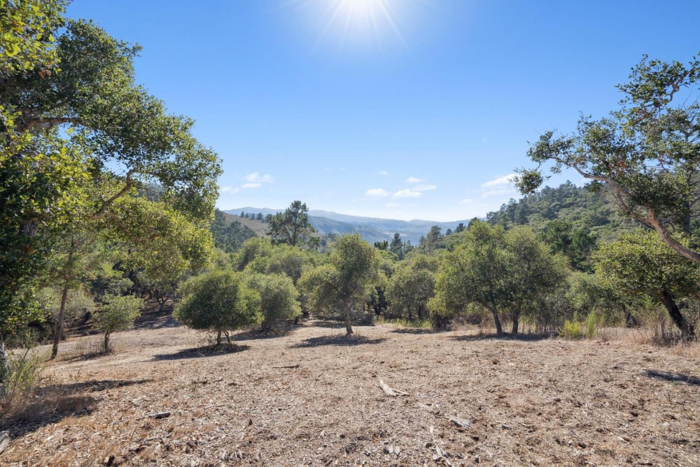 Detail Gallery Image 5 of 14 For 56 Marguerite (Lot 44), Carmel,  CA 93923 - – Beds | – Baths