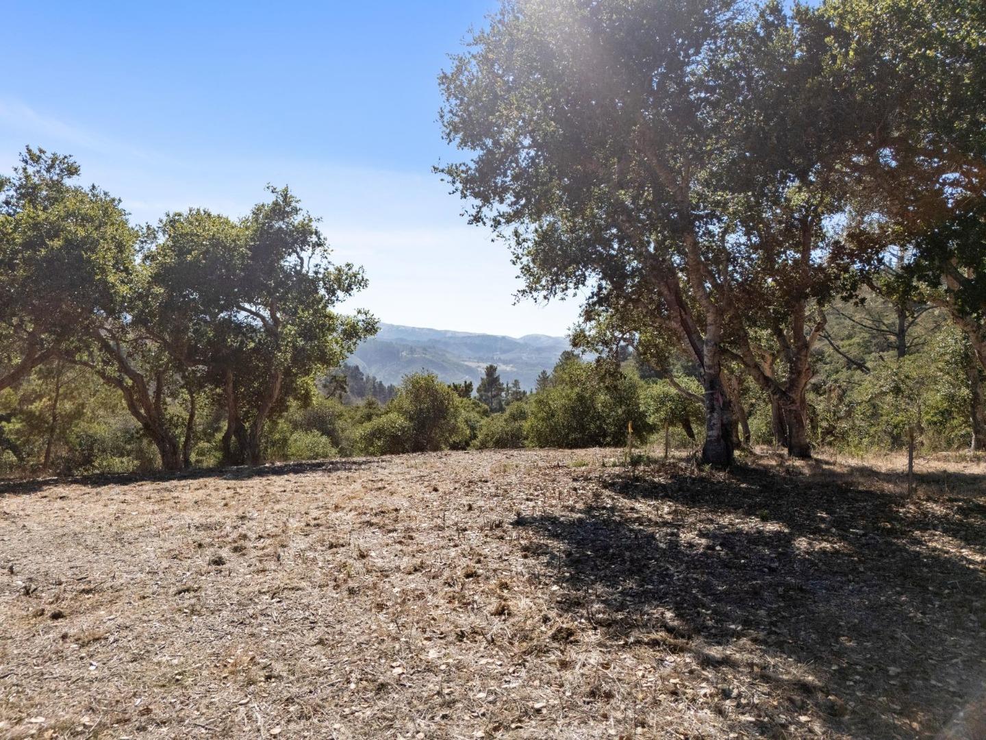 Detail Gallery Image 7 of 14 For 56 Marguerite (Lot 44), Carmel,  CA 93923 - – Beds | – Baths