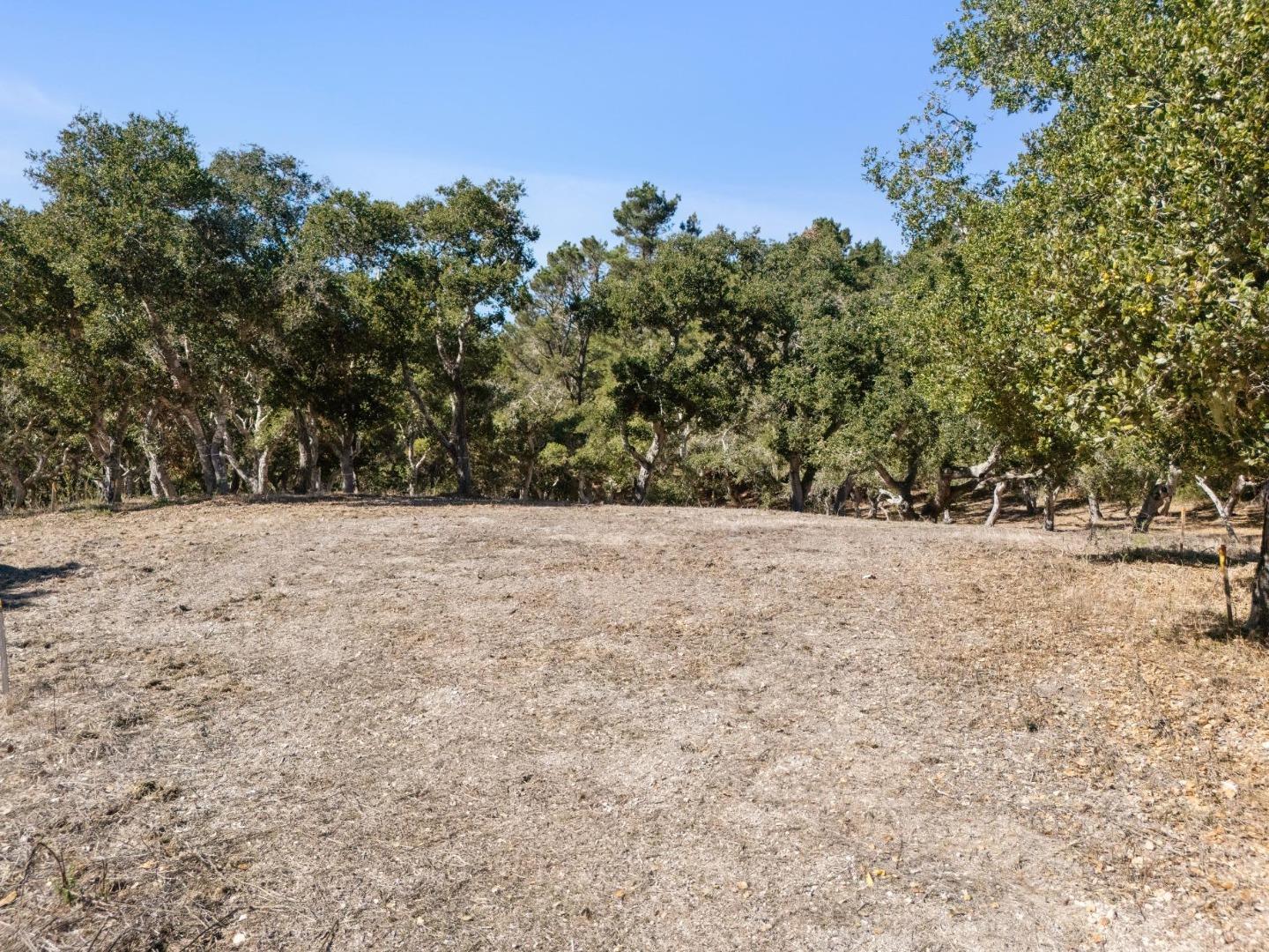 Detail Gallery Image 8 of 14 For 56 Marguerite (Lot 44), Carmel,  CA 93923 - – Beds | – Baths