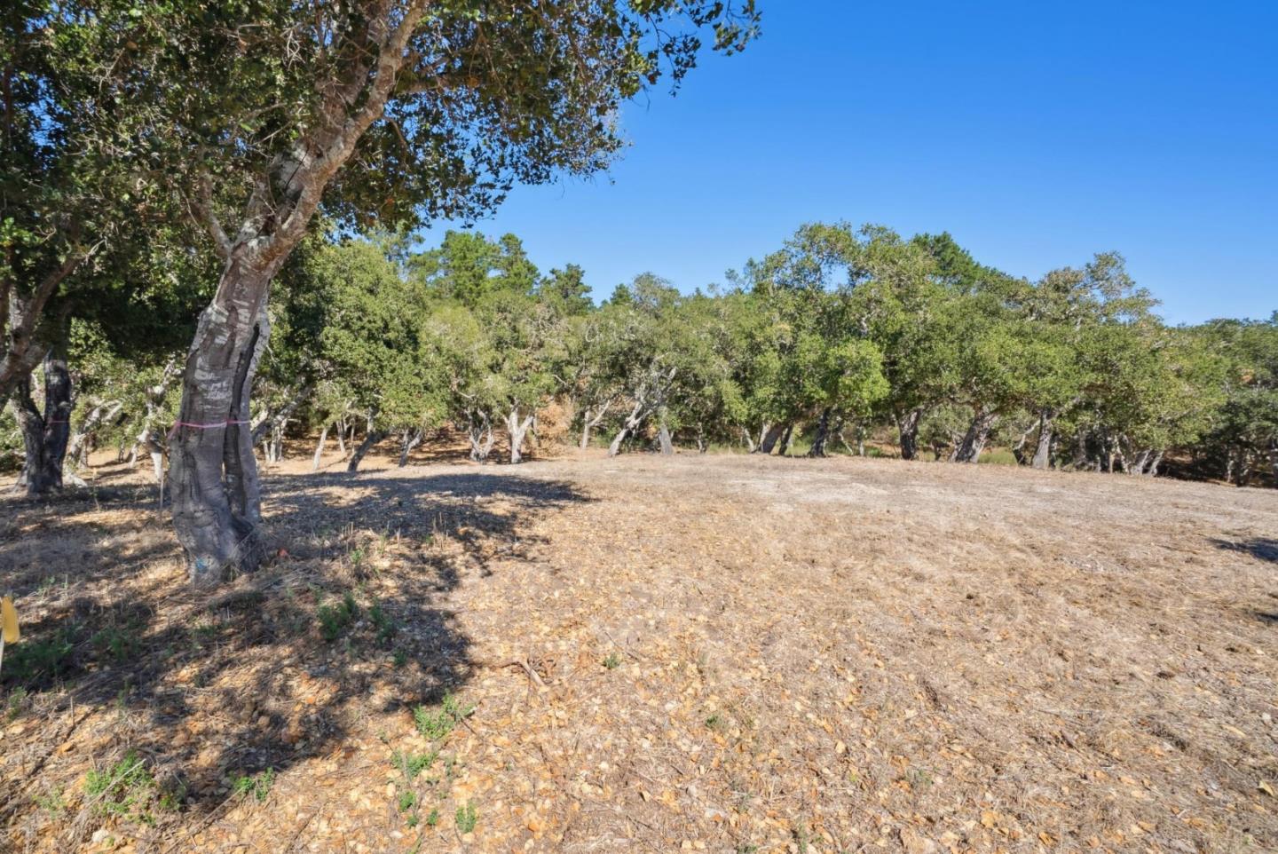 Detail Gallery Image 9 of 14 For 56 Marguerite (Lot 44), Carmel,  CA 93923 - – Beds | – Baths