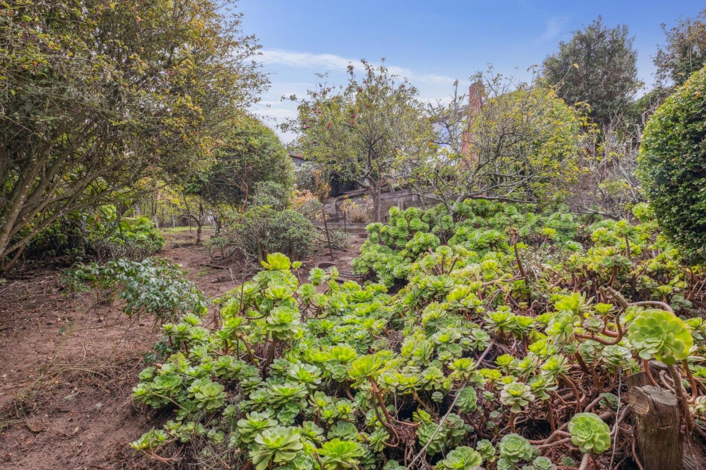 Detail Gallery Image 51 of 57 For 716 Maddux Dr, Daly City,  CA 94015 - 3 Beds | 1/1 Baths