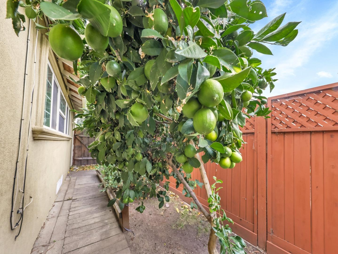 Detail Gallery Image 28 of 34 For 31959 Carroll Ave, Hayward,  CA 94544 - 3 Beds | 2 Baths