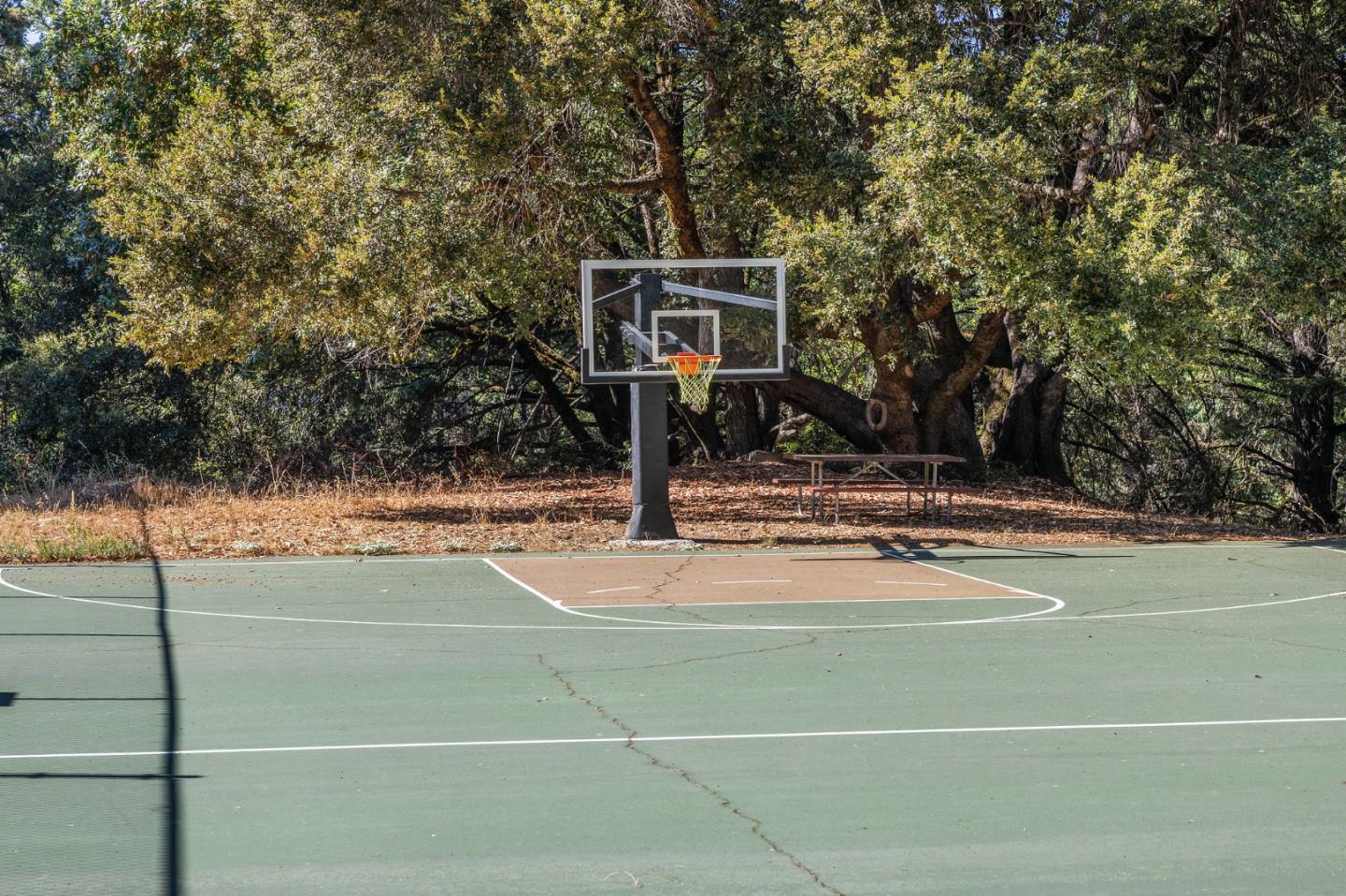 Detail Gallery Image 57 of 65 For 22163 Miller Ridge Rd, Los Gatos,  CA 95033 - 4 Beds | 2 Baths