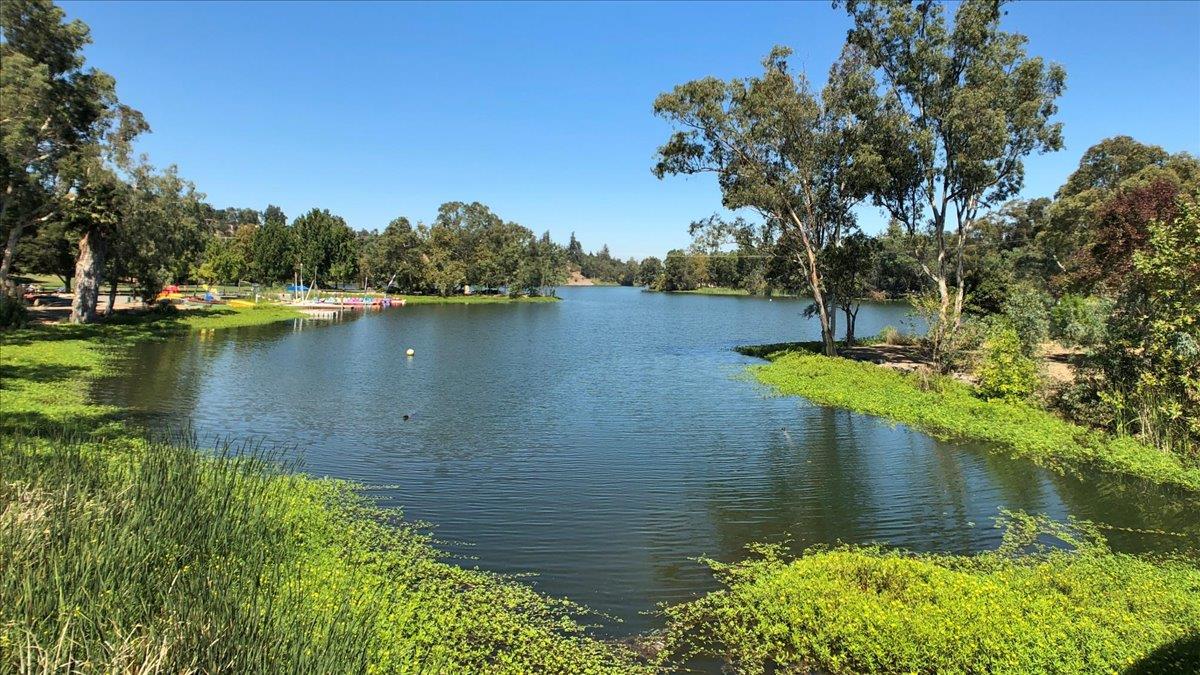 Detail Gallery Image 30 of 31 For 182 Cuesta De Los Gatos, Los Gatos,  CA 95032 - 3 Beds | 2/1 Baths