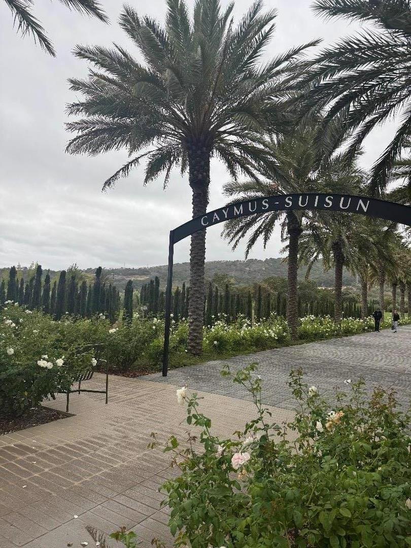 Detail Gallery Image 24 of 33 For 254 Sugar Loaf Dr, Napa,  CA 94558 - – Beds | – Baths