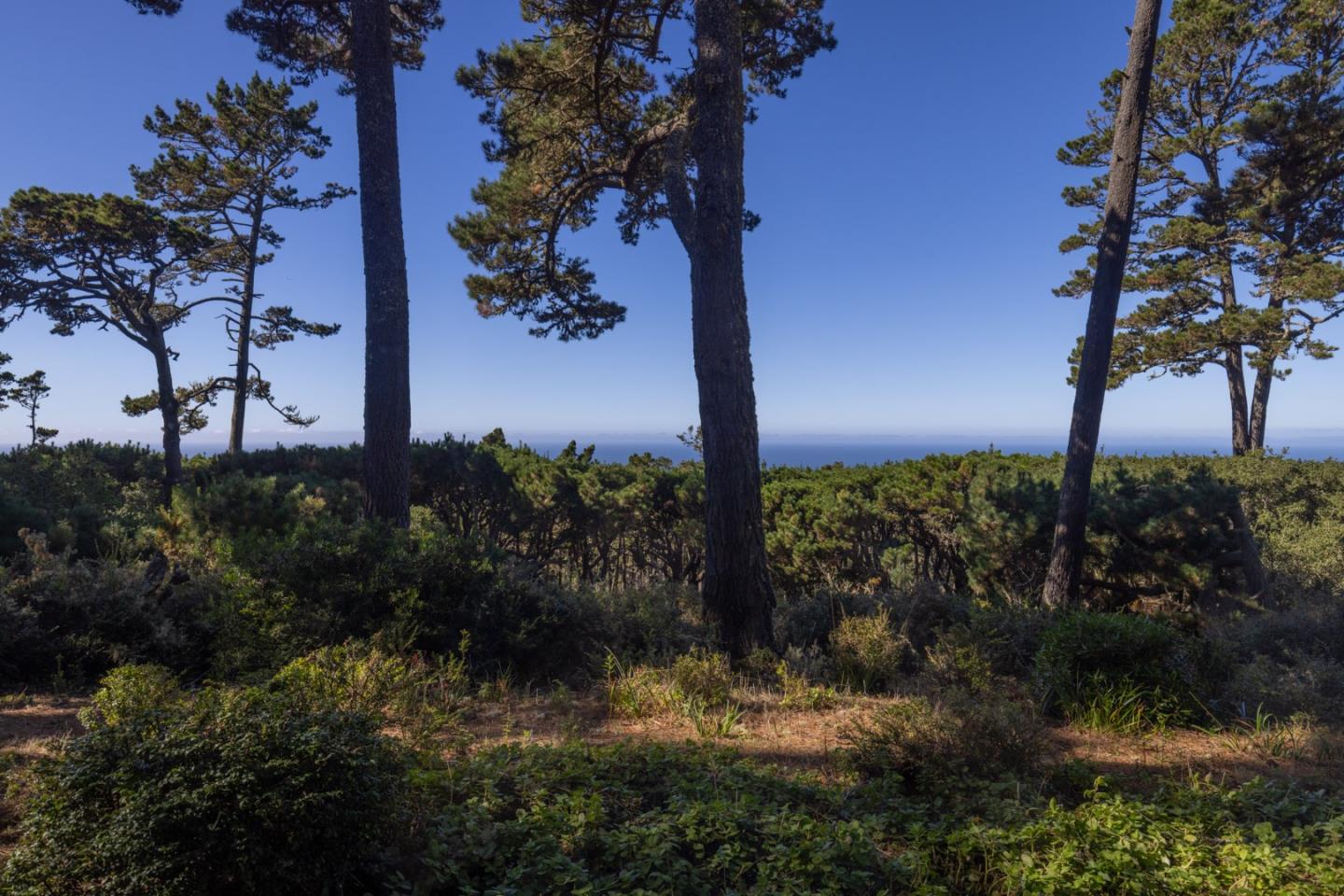 Detail Gallery Image 28 of 30 For 22 Ocean Pines Ln #22,  Pebble Beach,  CA 93953 - 2 Beds | 2 Baths