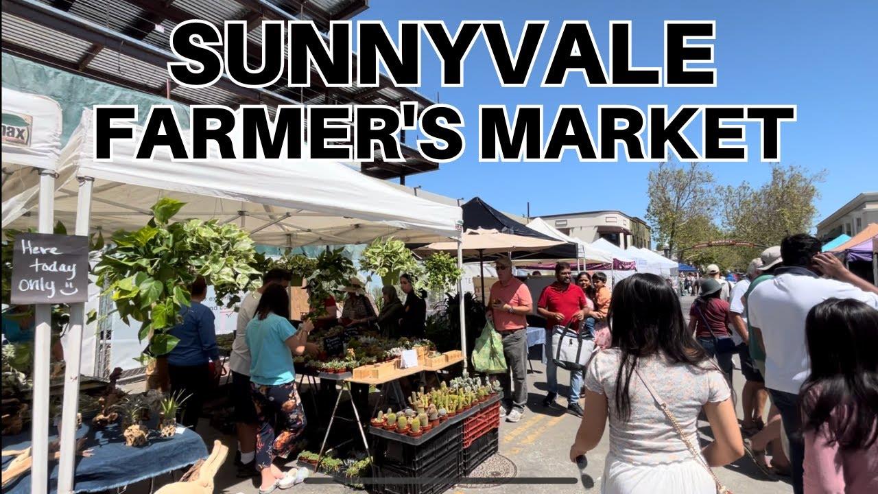 Detail Gallery Image 36 of 36 For 983 La Mesa Terrace #C,  Sunnyvale,  CA 94086 - 3 Beds | 2/1 Baths