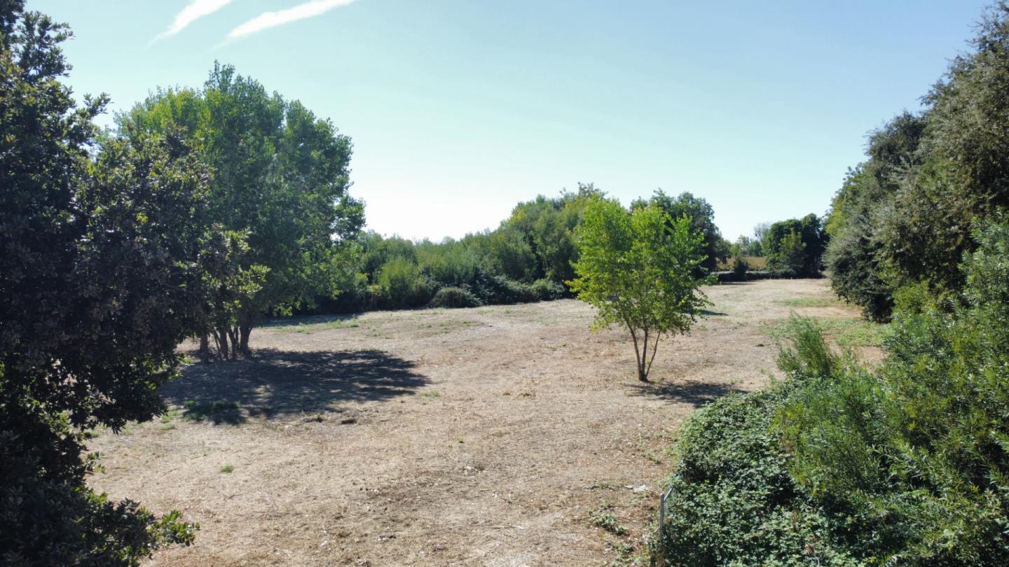 Detail Gallery Image 14 of 25 For 14567 W Walnut Grove-Thornton Rd, Walnut Grove,  CA 95690 - – Beds | – Baths