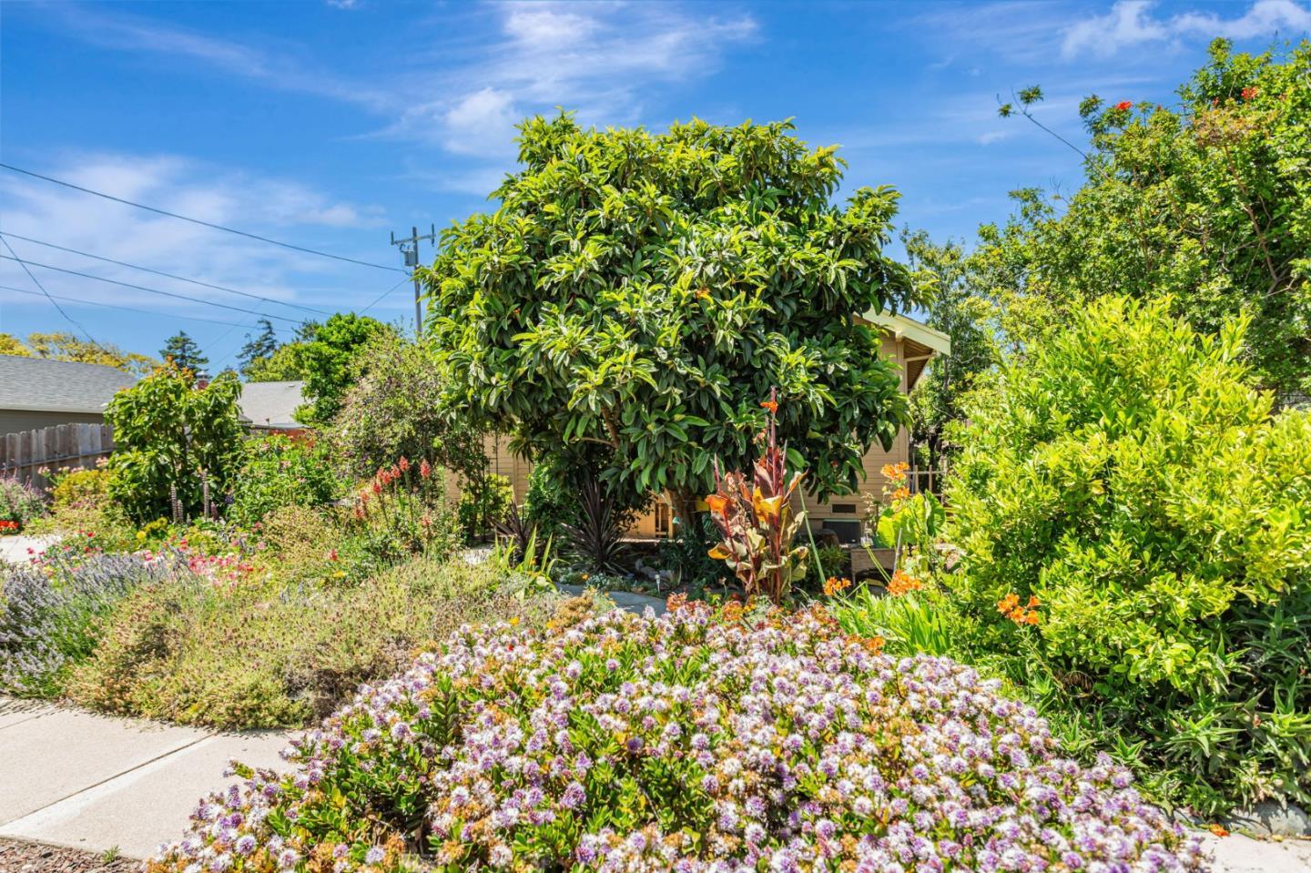 Detail Gallery Image 24 of 29 For 89 Hatton Ave, Spreckels,  CA 93962 - 6 Beds | 3 Baths