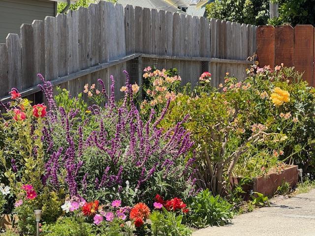 Detail Gallery Image 26 of 29 For 89 Hatton Ave, Spreckels,  CA 93962 - 6 Beds | 3 Baths