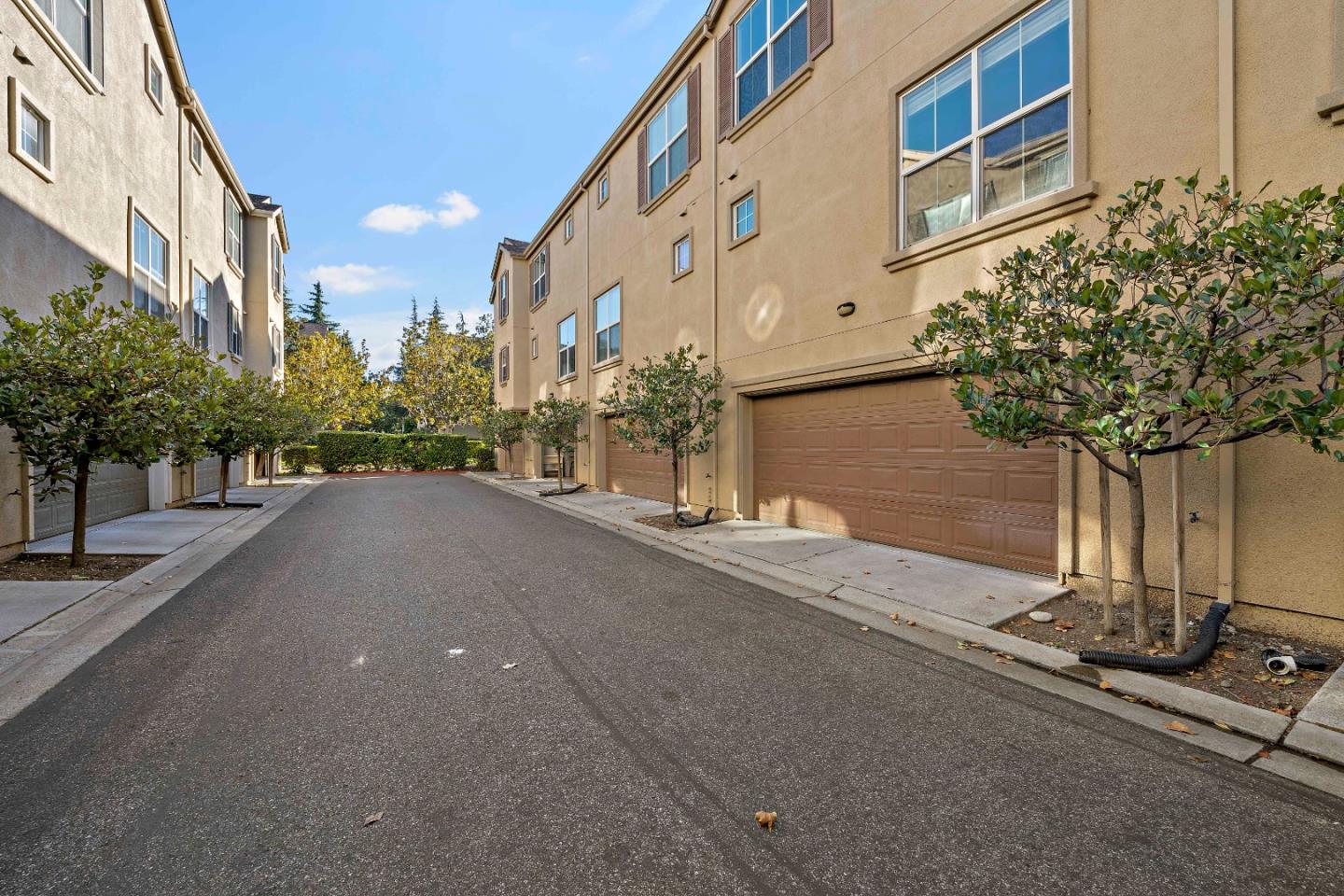 Detail Gallery Image 41 of 51 For 124 Sunol St, San Jose,  CA 95126 - 3 Beds | 3 Baths