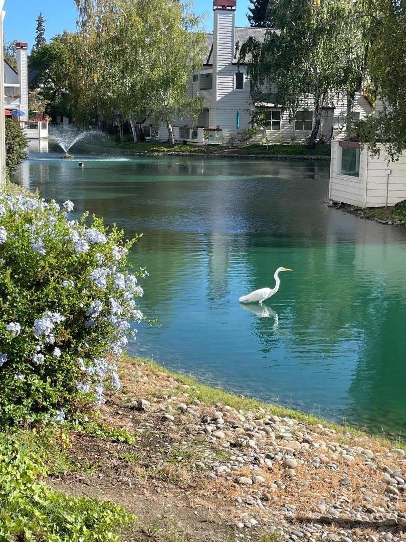 Detail Gallery Image 57 of 63 For 307 Chelsea Way, Redwood City,  CA 94061 - 1 Beds | 1 Baths