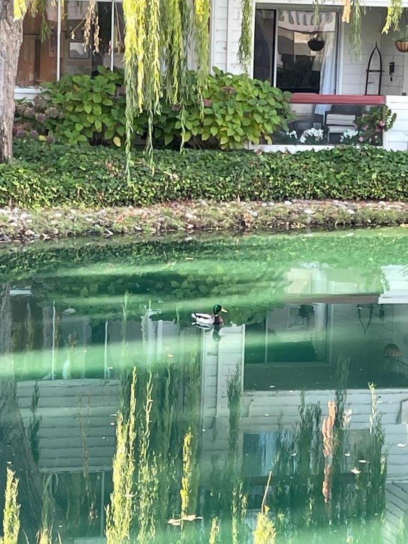 Detail Gallery Image 59 of 63 For 307 Chelsea Way, Redwood City,  CA 94061 - 1 Beds | 1 Baths