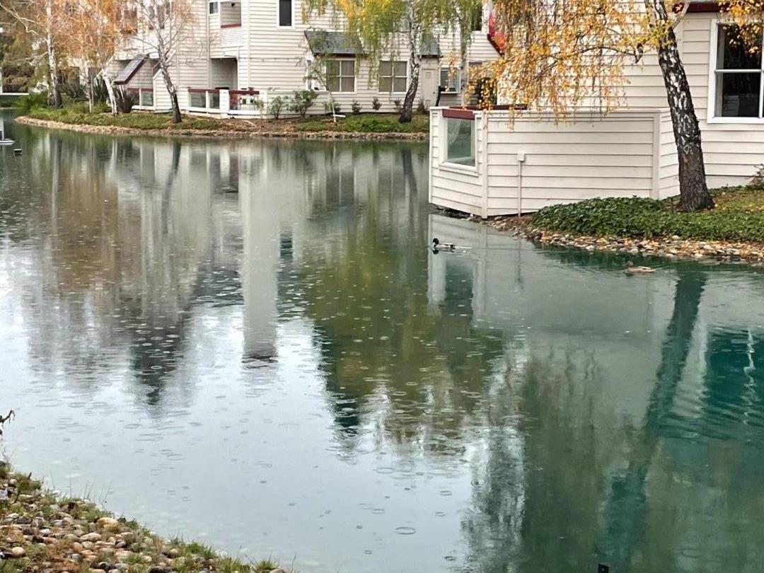 Detail Gallery Image 60 of 63 For 307 Chelsea Way, Redwood City,  CA 94061 - 1 Beds | 1 Baths