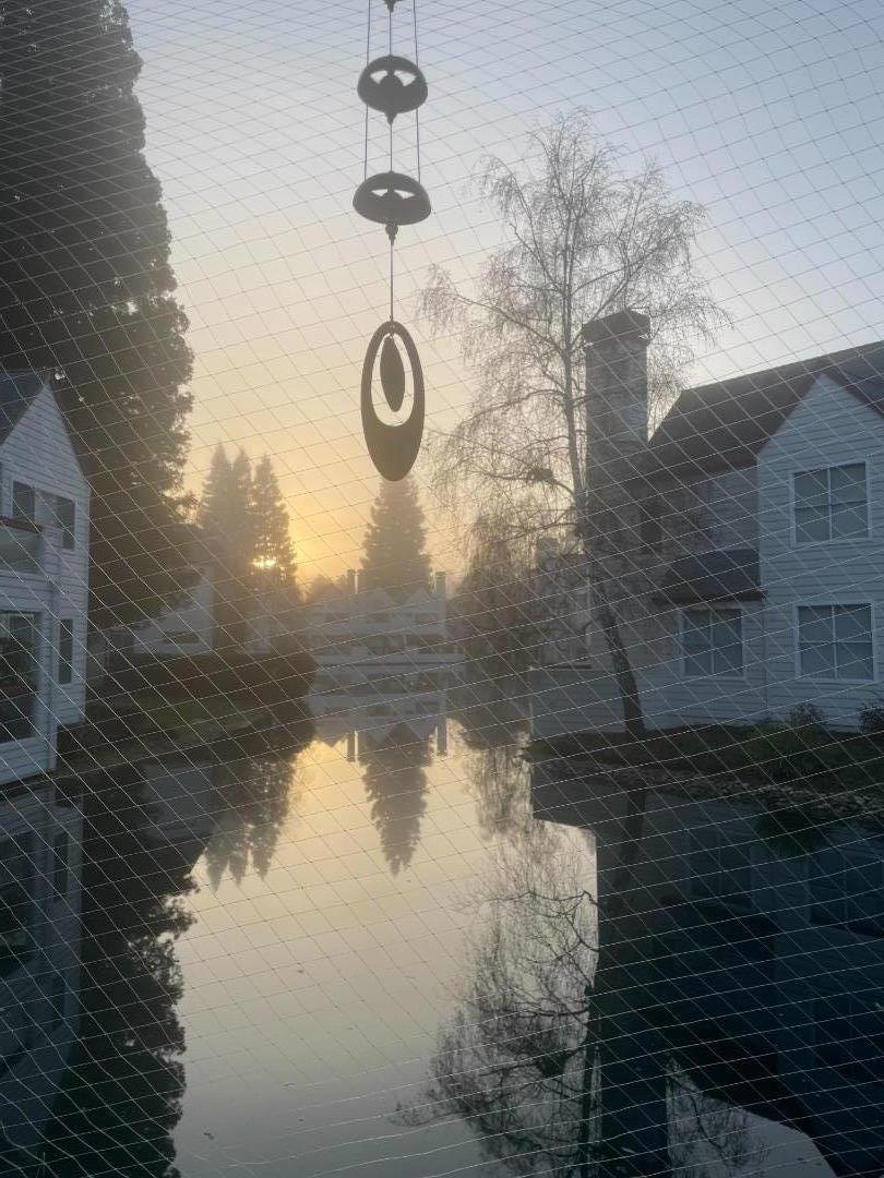 Detail Gallery Image 61 of 63 For 307 Chelsea Way, Redwood City,  CA 94061 - 1 Beds | 1 Baths