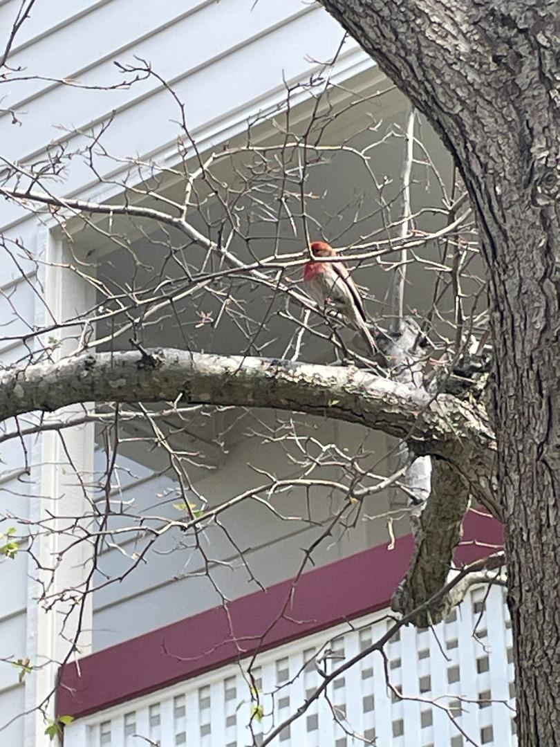 Detail Gallery Image 62 of 63 For 307 Chelsea Way, Redwood City,  CA 94061 - 1 Beds | 1 Baths