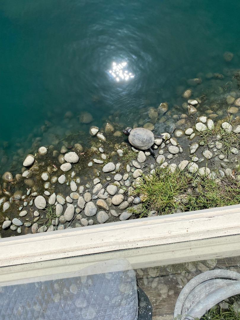 Detail Gallery Image 63 of 63 For 307 Chelsea Way, Redwood City,  CA 94061 - 1 Beds | 1 Baths