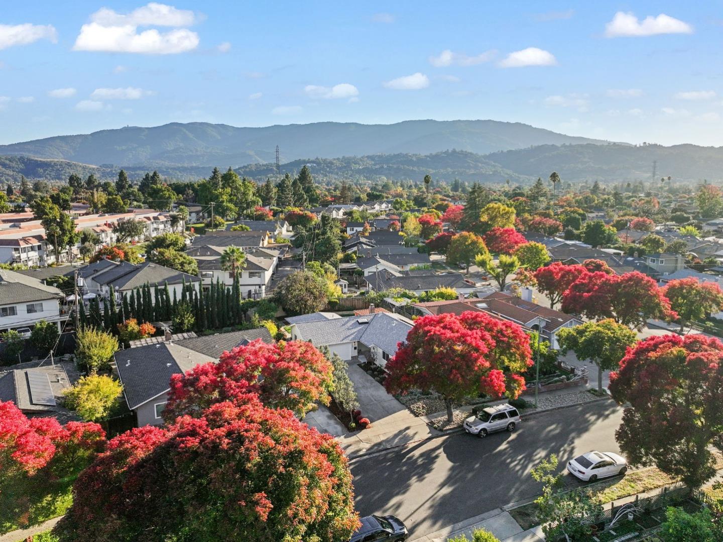 Detail Gallery Image 43 of 44 For 1668 Nora Way, San Jose,  CA 95124 - 4 Beds | 2 Baths
